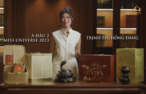 ✨ 2023 年环球小姐亚军 Trinh Thi Hong Dang 的评论
